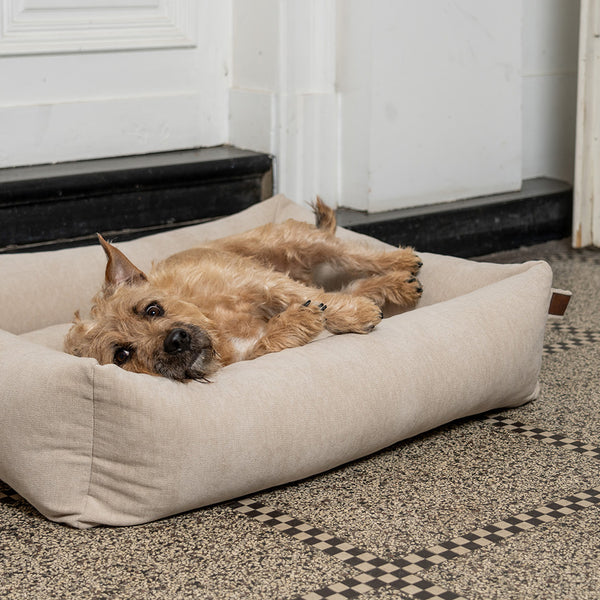 Fantail dog outlet bed