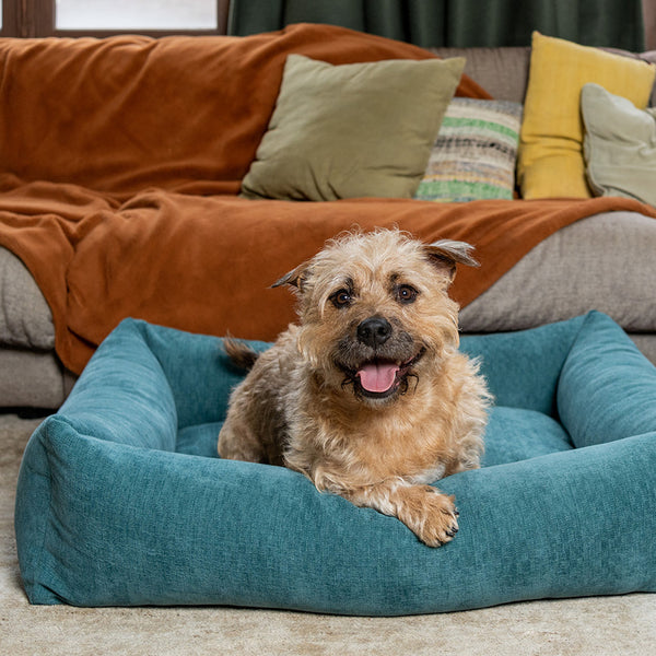 Fantail 2025 dog bed