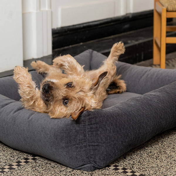 Fantail dog outlet bed