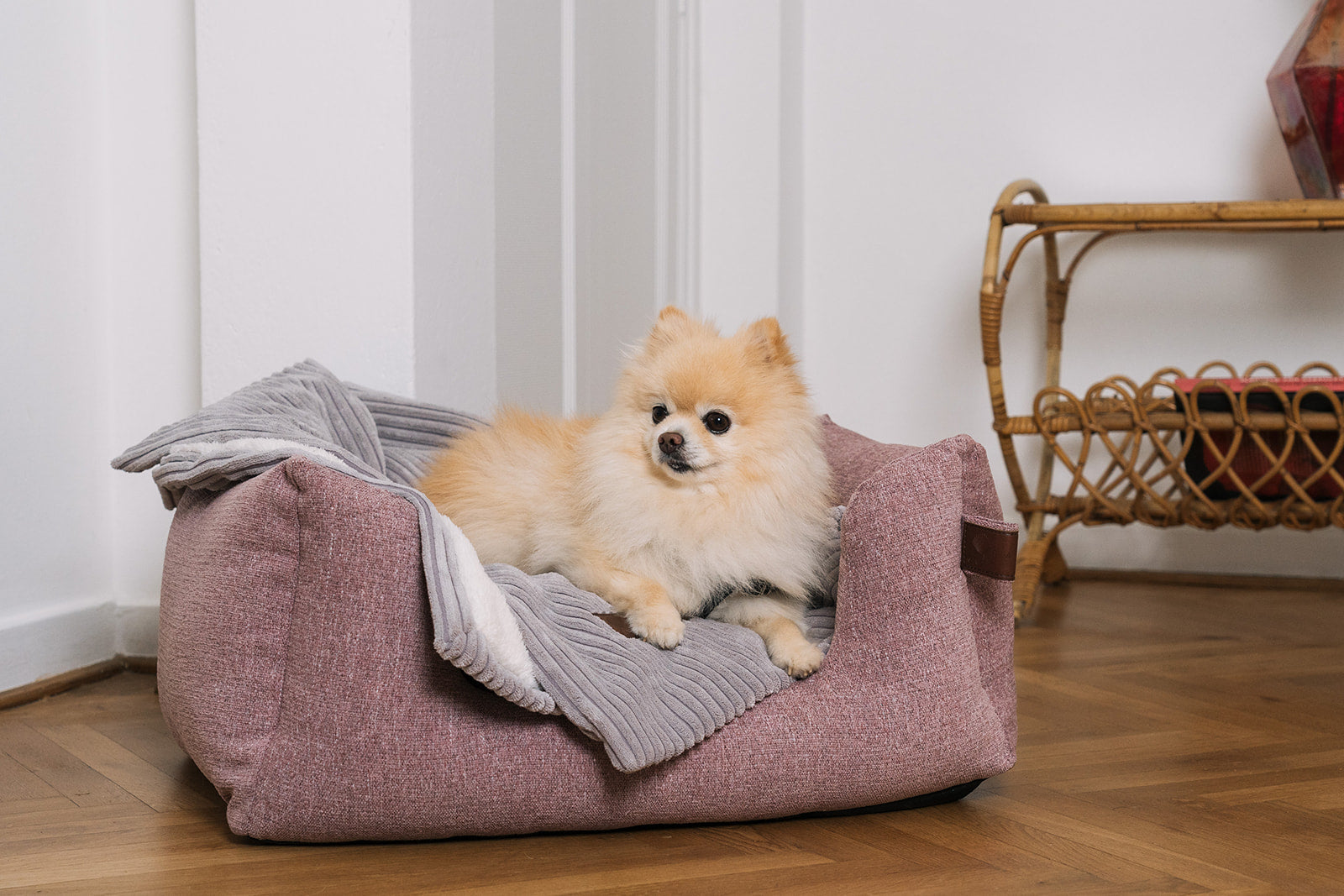 Fantail dog outlet bed